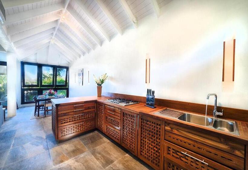 ویلا دلوکس 3 خوابه, 473 Grenada Boutique Resort