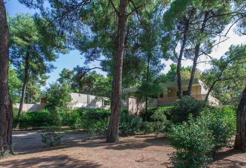 프리미엄 트리플 룸, Club Agia Anna