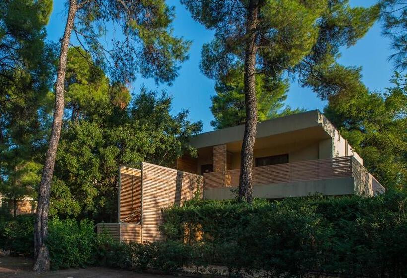 Трехместный Номер Премиум, Club Agia Anna