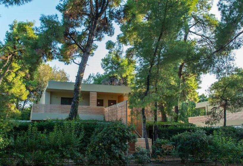 프리미엄 트리플 룸, Club Agia Anna