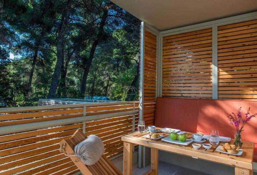 Трехместный Номер Премиум, Club Agia Anna