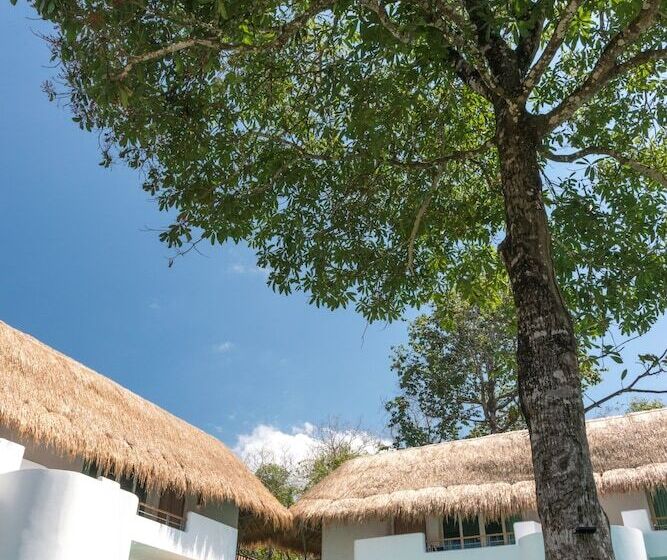 جناح مطلّ علي حمام السباحة, Eden Beach Khaolak Resort And Spa A Lopesan Collection Hotel   Sha Extra Plus