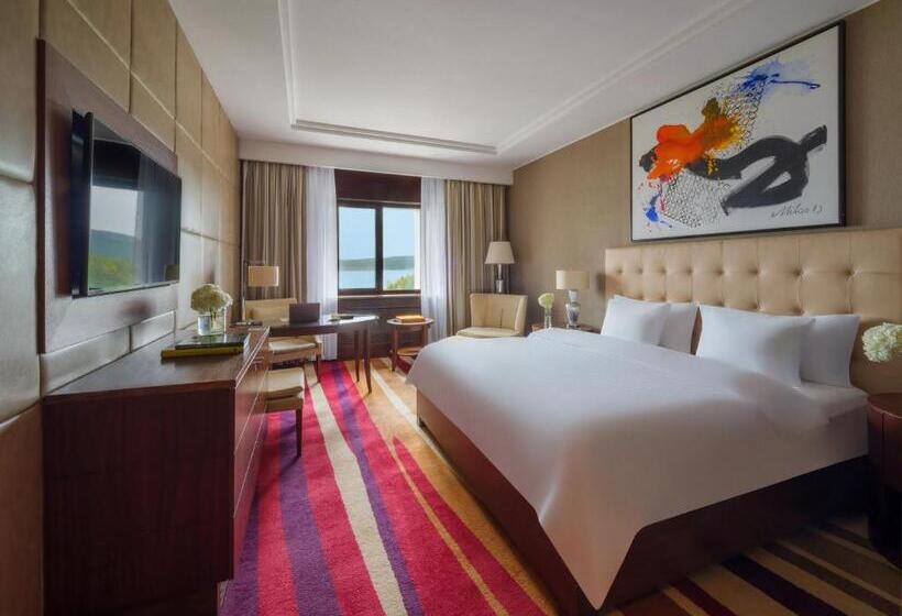 اتاق دلوکس با تخت کینگ و چشمانداز, Rixos Borovoe