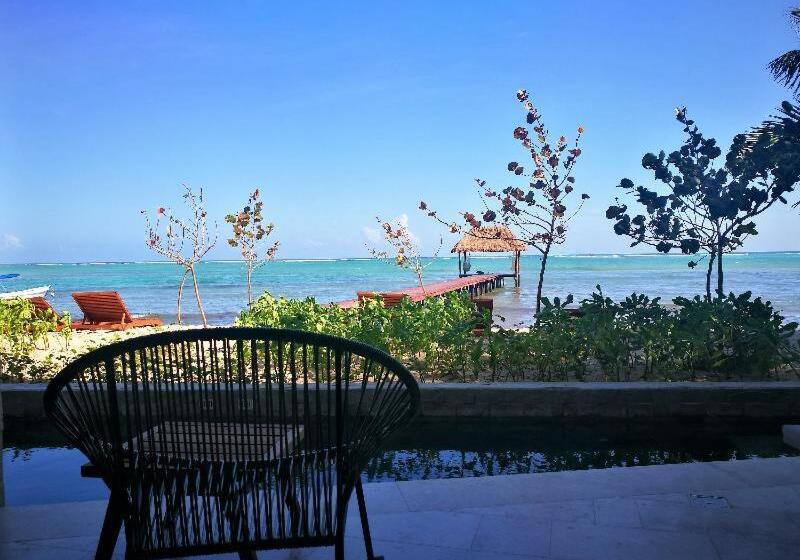 스탠다드 룸, Alea Tulum