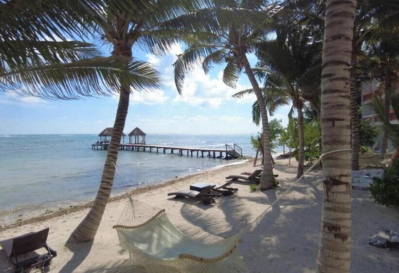 침실 1개 주택, Alea Tulum