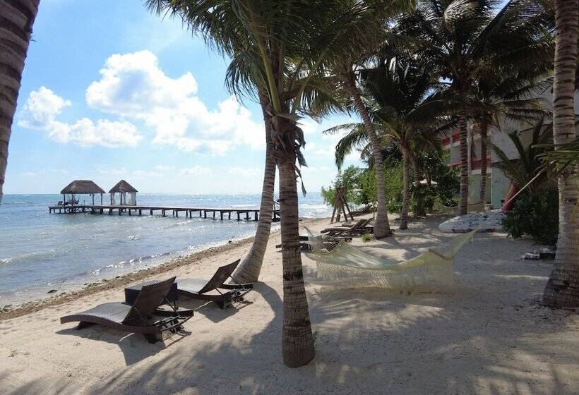 침실 1개 주택, Alea Tulum