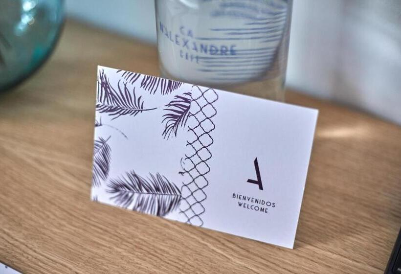 带露台的高档房间, Ca N Alexandre   Adults Only