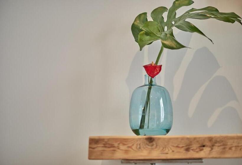 标准间带露台, Ca N Alexandre   Adults Only