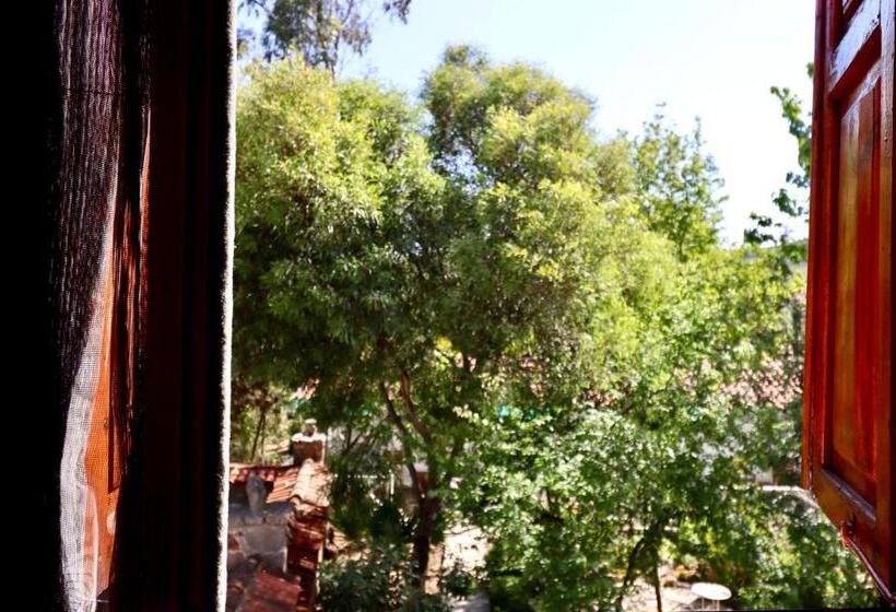 اتاق استاندارد, Kemerbag 29 Adults Only