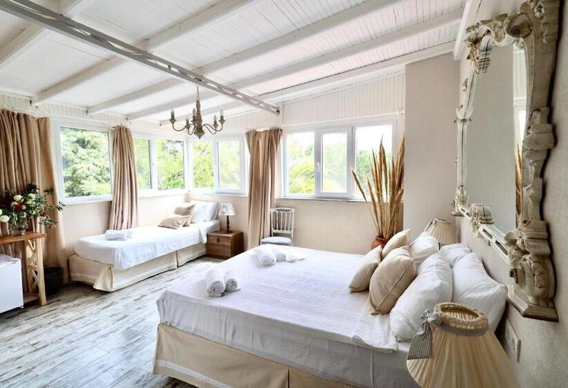 اتاق کلاسیک سه تخته, Kemerbag 29 Adults Only