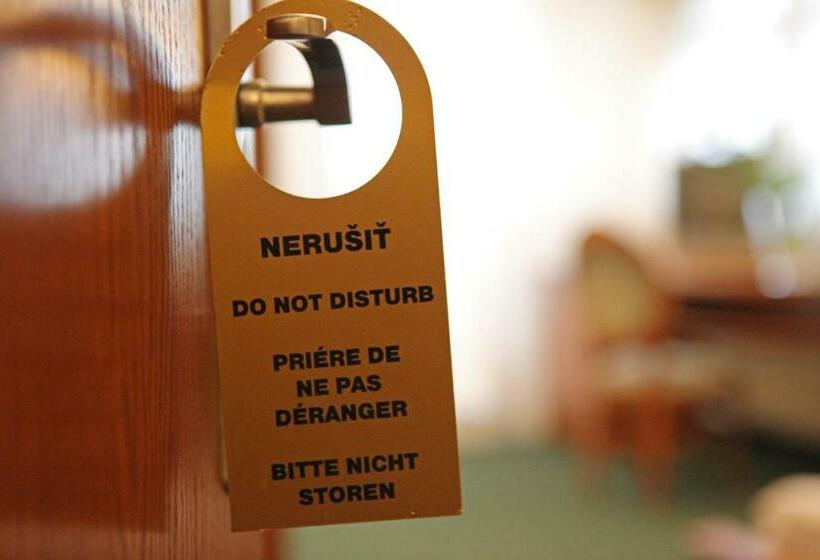 חדר סטנדרט עם מיטת קינג, Penzion & Wellness Zoborska