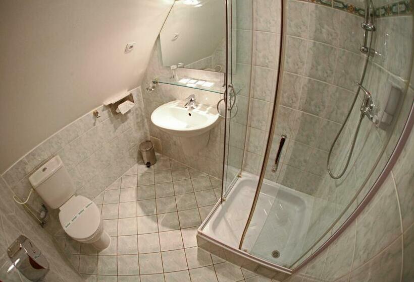 חדר סטנדרט עם מיטת קינג, Penzion & Wellness Zoborska