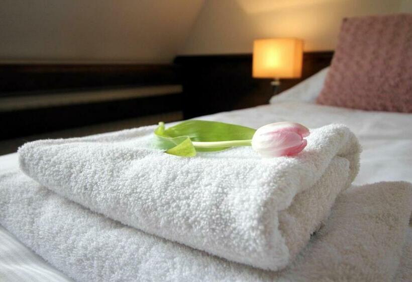 חדר סטנדרט עם מיטת קינג, Penzion & Wellness Zoborska