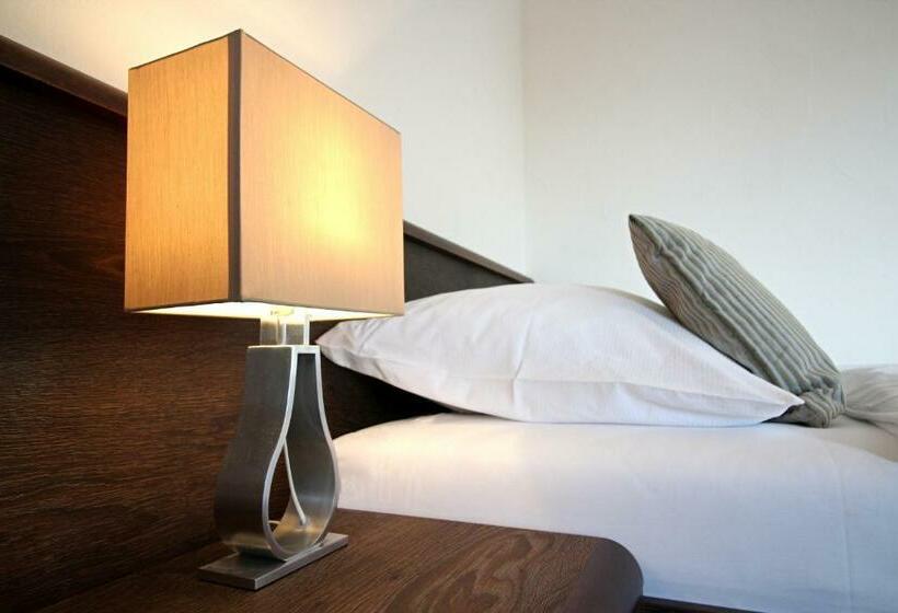 חדר סטנדרט עם מיטת קינג, Penzion & Wellness Zoborska