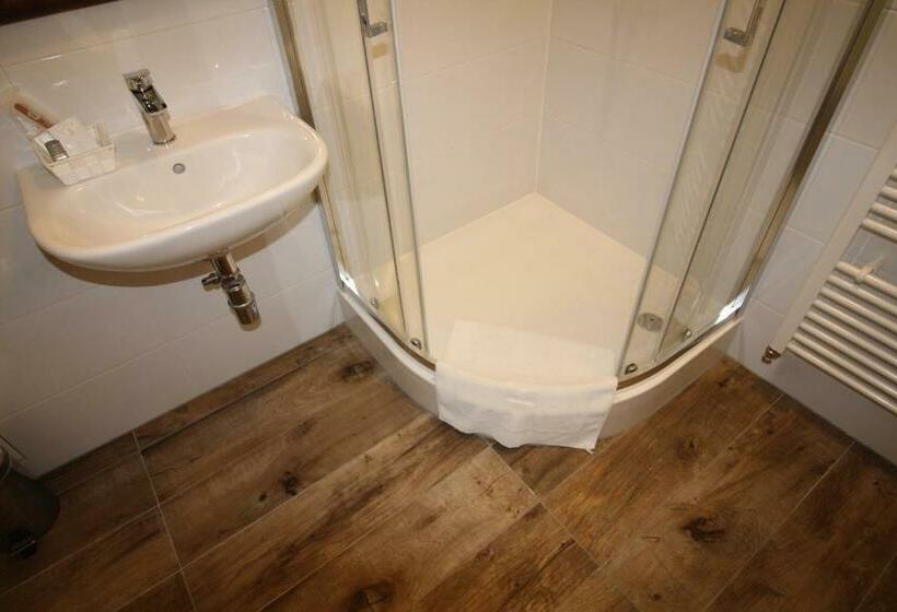 חדר סטנדרט עם מיטת קינג, Penzion & Wellness Zoborska