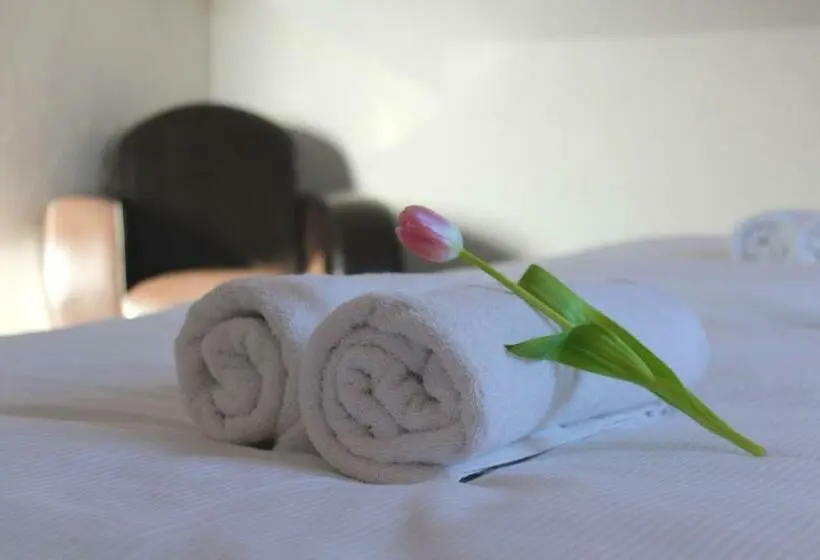 اتاق استاندارد با تخت بزرگ, Penzion & Wellness Zoborska