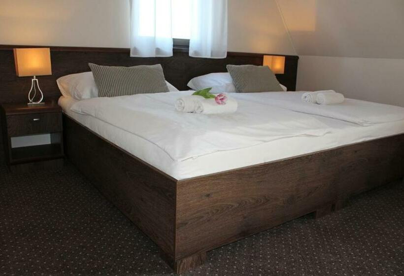 带大床的标准间, Penzion & Wellness Zoborska