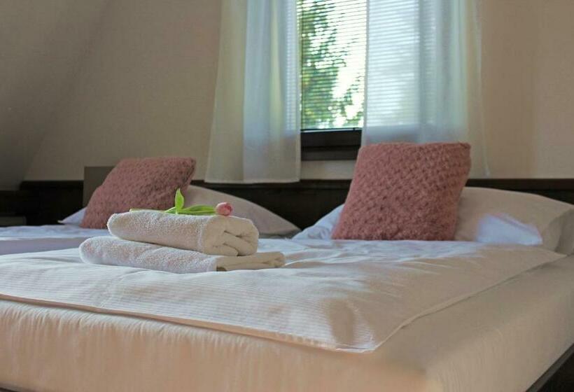 带大床的标准间, Penzion & Wellness Zoborska