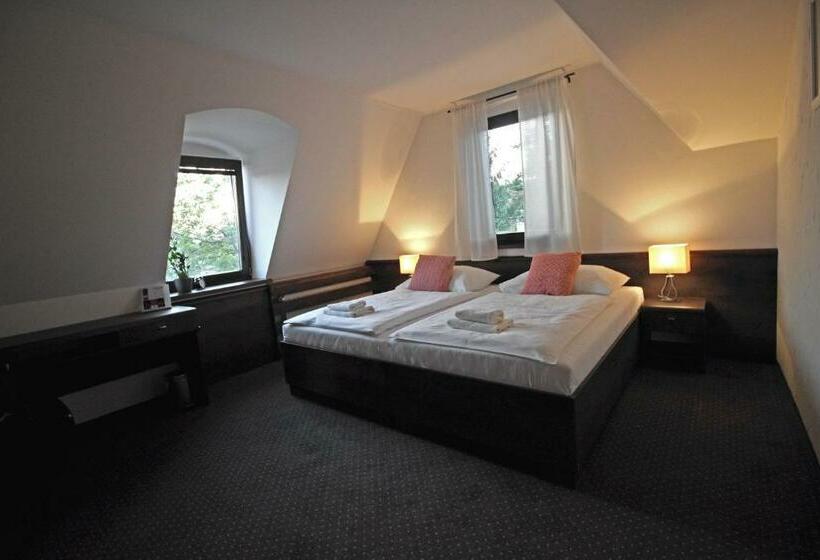 带大床的标准间, Penzion & Wellness Zoborska