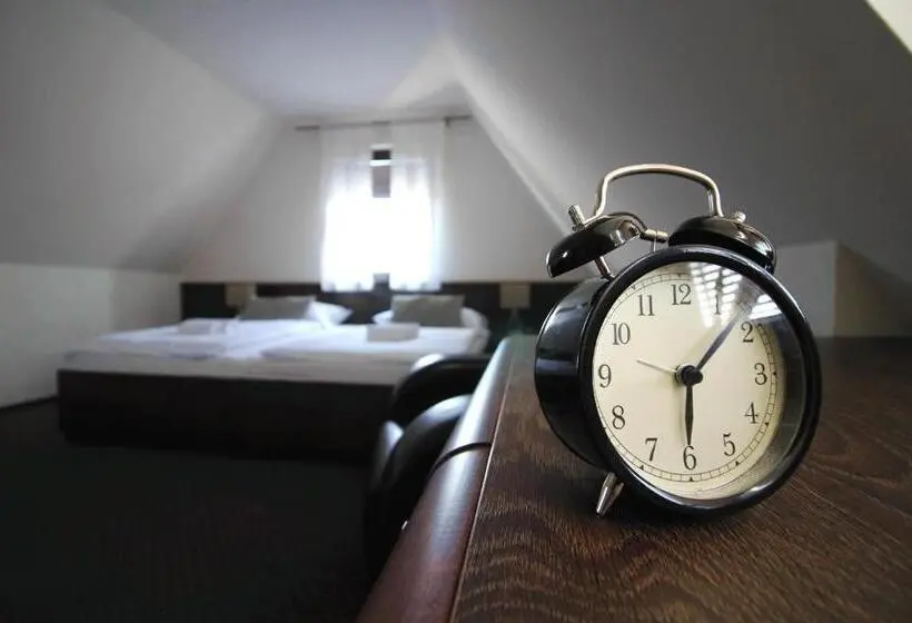 اتاق استاندارد با تخت بزرگ, Penzion & Wellness Zoborska