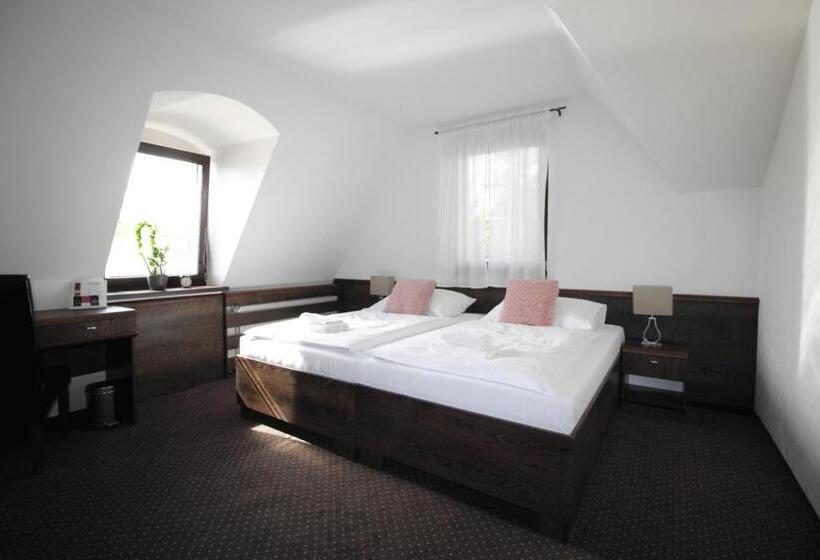 带大床的标准间, Penzion & Wellness Zoborska