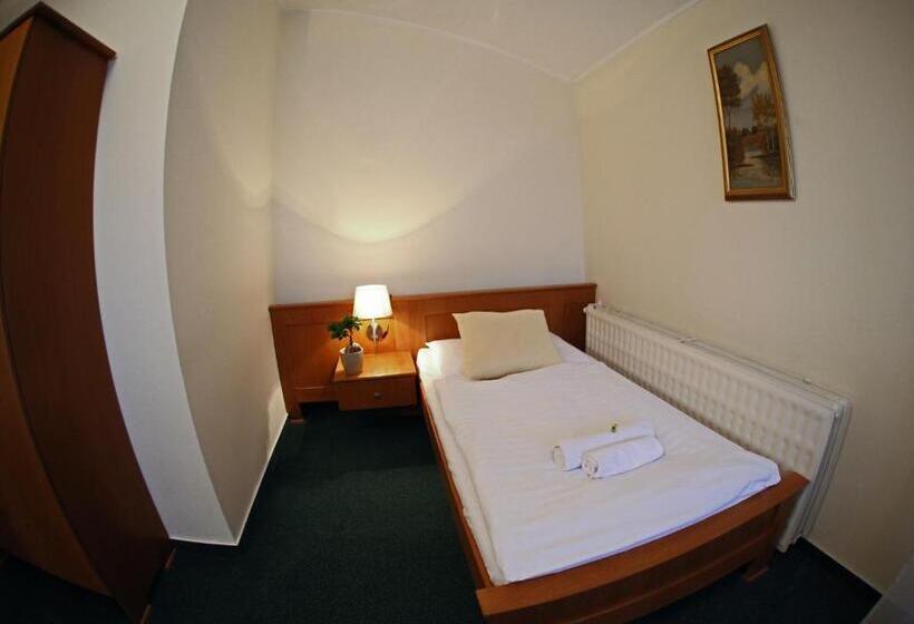 带观景的标准间, Penzion & Wellness Zoborska