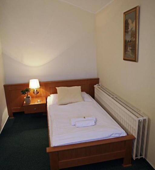 חדר יחיד נוף לגינה, Penzion & Wellness Zoborska