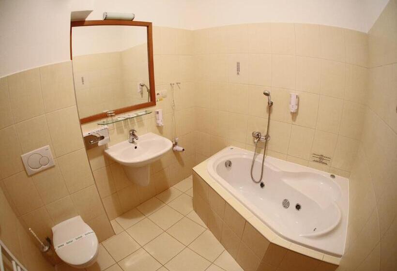 带2个卧室的套房, Penzion & Wellness Zoborska