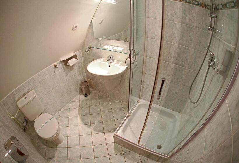 带观景的标准间, Penzion & Wellness Zoborska