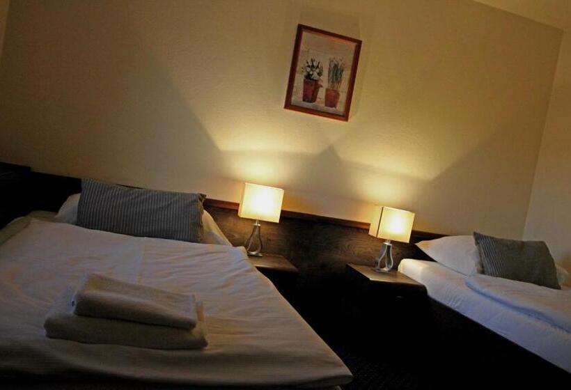 带观景的标准间, Penzion & Wellness Zoborska