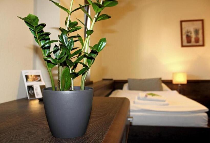 带观景的标准间, Penzion & Wellness Zoborska