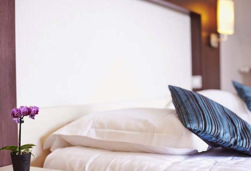 غرفة قياسية, La Ferme Du Blanchot