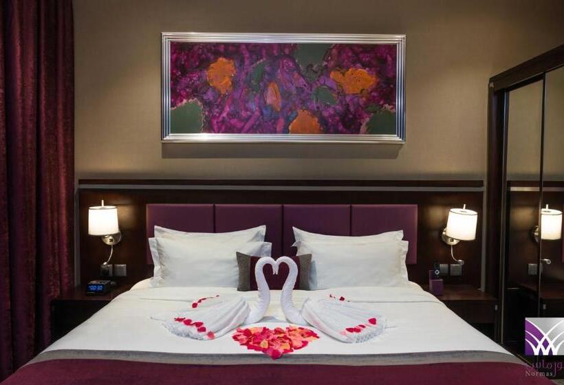 جناح جونيور, Normas