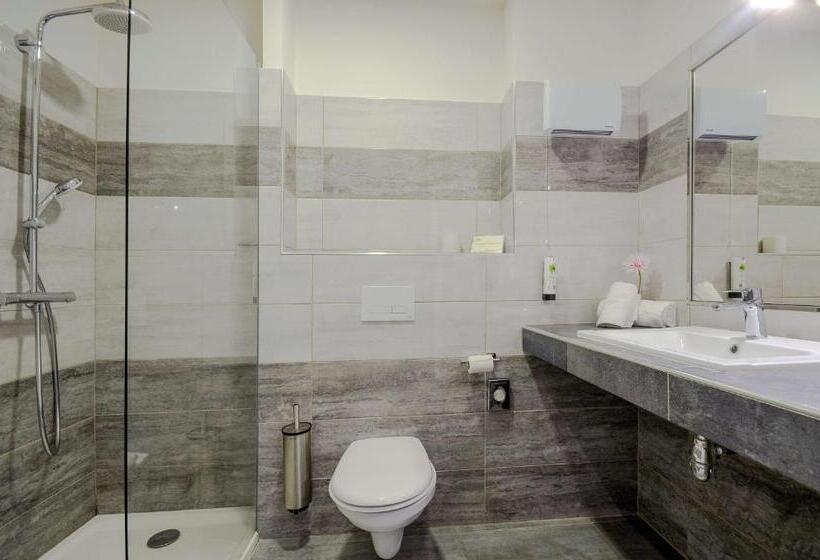 Классический Номер, Sure Hotel By Best Western Beziers Le Monestie