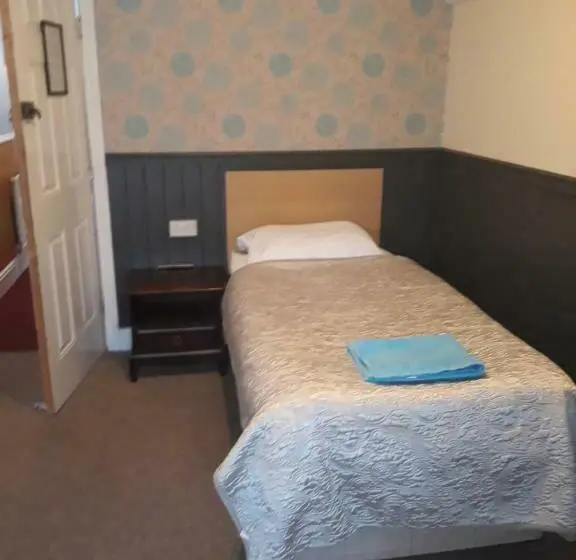 バスルーム共有のシングルスタンダード, Llwynygog Guest House