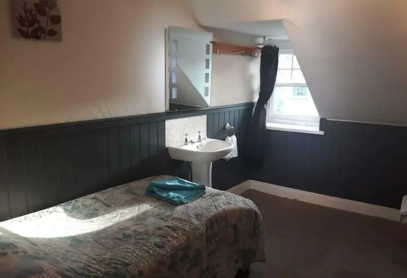バスルーム共有のシングルスタンダード, Llwynygog Guest House