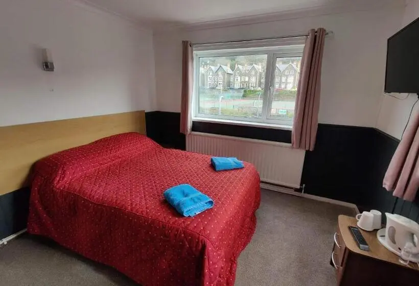 バス共有のスタンダードルーム, Llwynygog Guest House