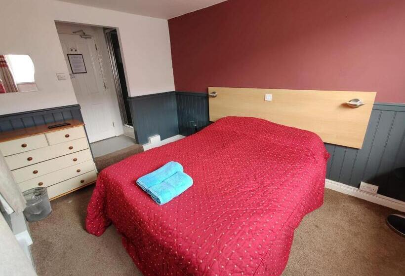 스탠다드 룸, Llwynygog Guest House