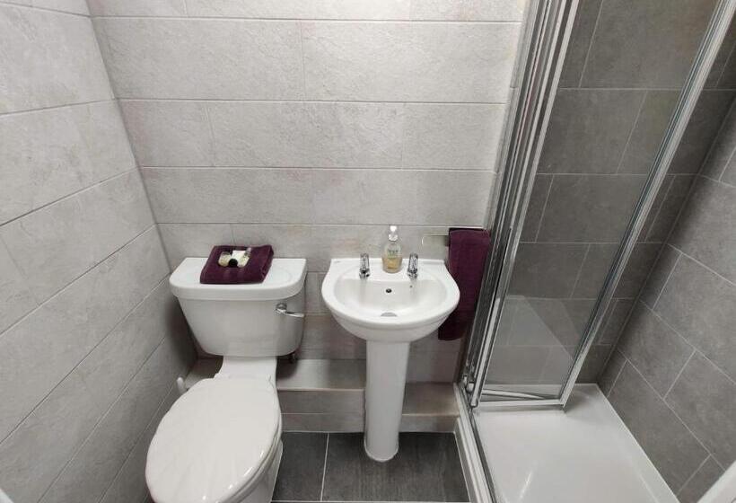 标准间, Llwynygog Guest House