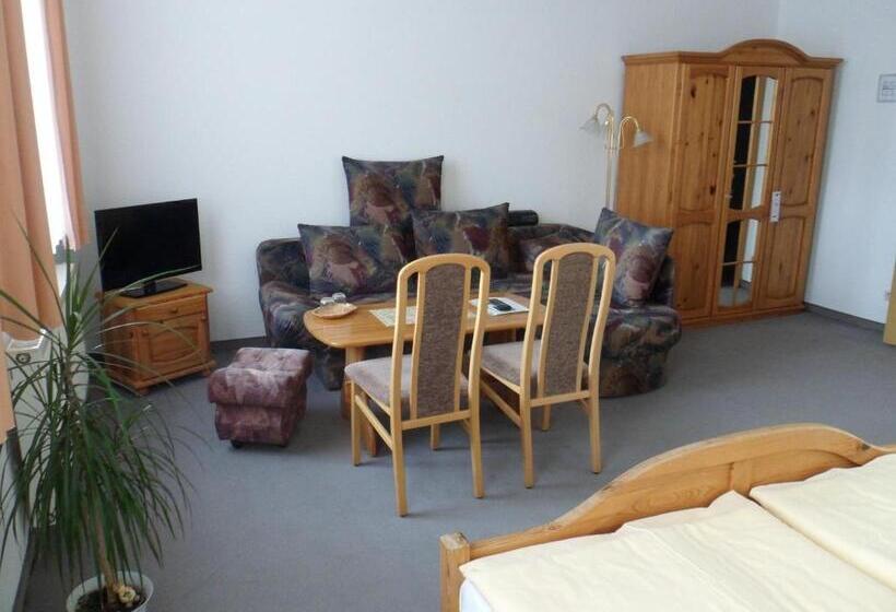 스탠다드 룸, Stadtseepension Templin