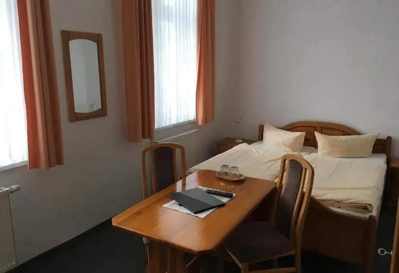 Standard-huone Järvinäkymä, Stadtseepension Templin