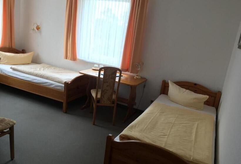 스탠다드 룸 호수 전망, Stadtseepension Templin