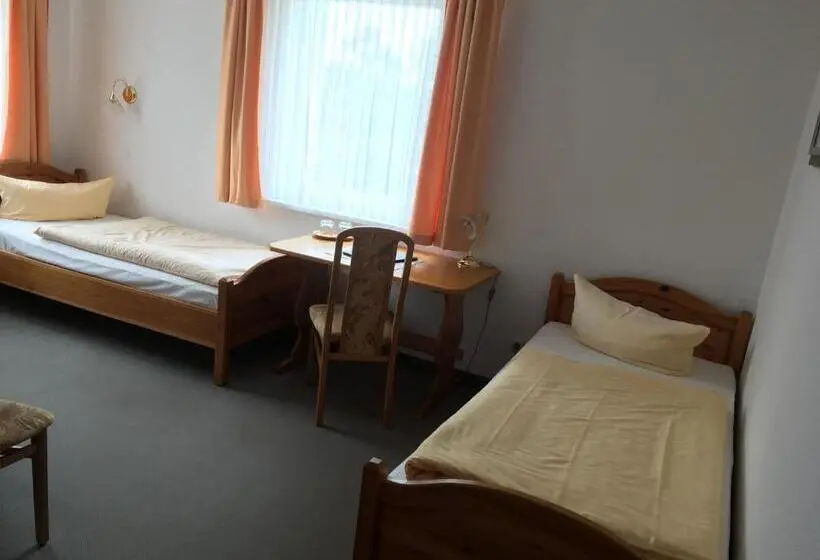 Standard-huone Järvinäkymä, Stadtseepension Templin