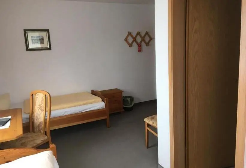 Standard-huone Järvinäkymä, Stadtseepension Templin