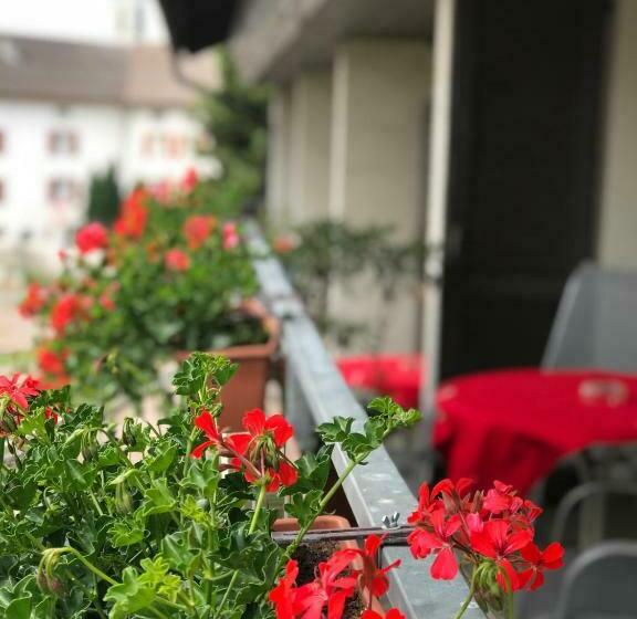 اتاق استاندارد یک نفره, Bed And Breakfast Krone