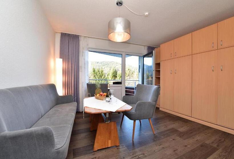 شقة كومفورت غرفة نوم واحدة, Familienhotel Kleinwalsertal
