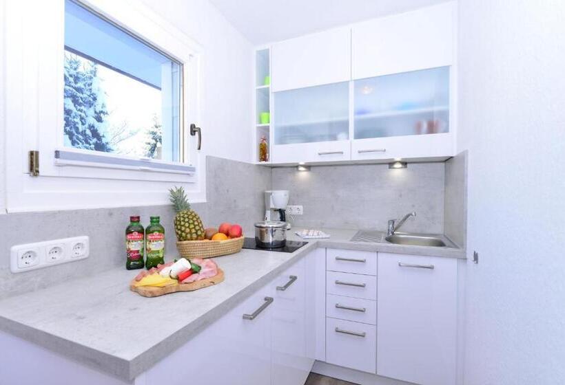 شقة سوبريور غرفة واحدة, Familienhotel Kleinwalsertal