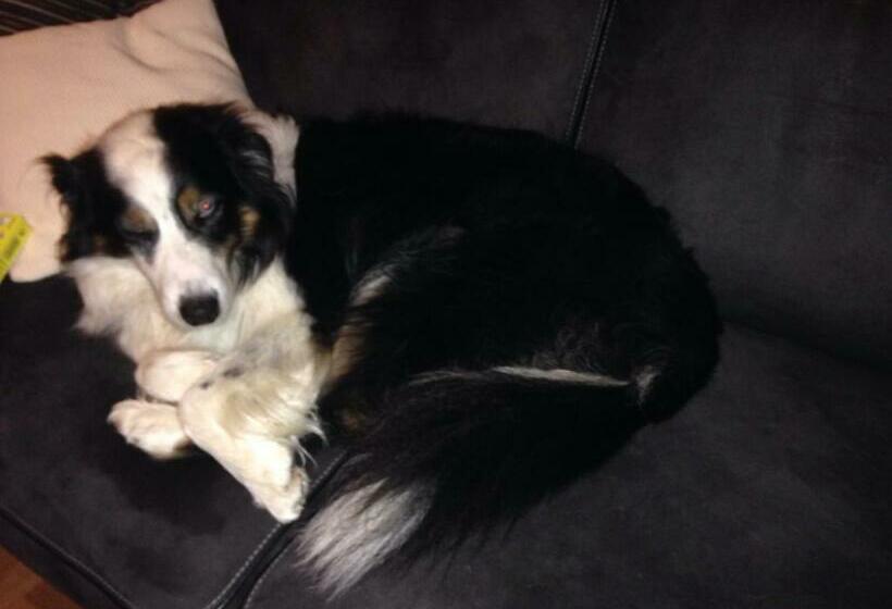 标准间, Gasthof Böhm