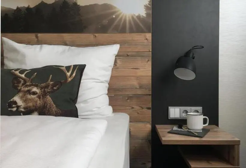 Standard Kolmen Hengen Huone, Home Hotel Salzberg