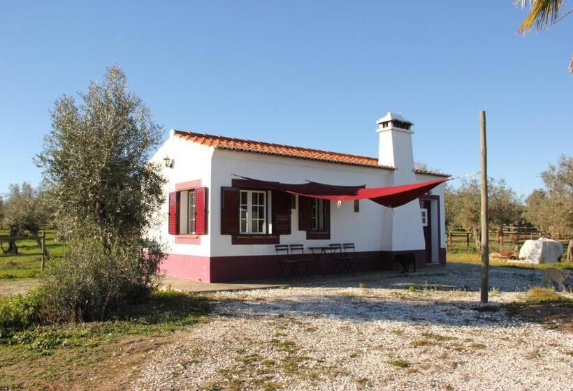 فيلا غرفة نوم واحدة, Monte Da Coelha Al